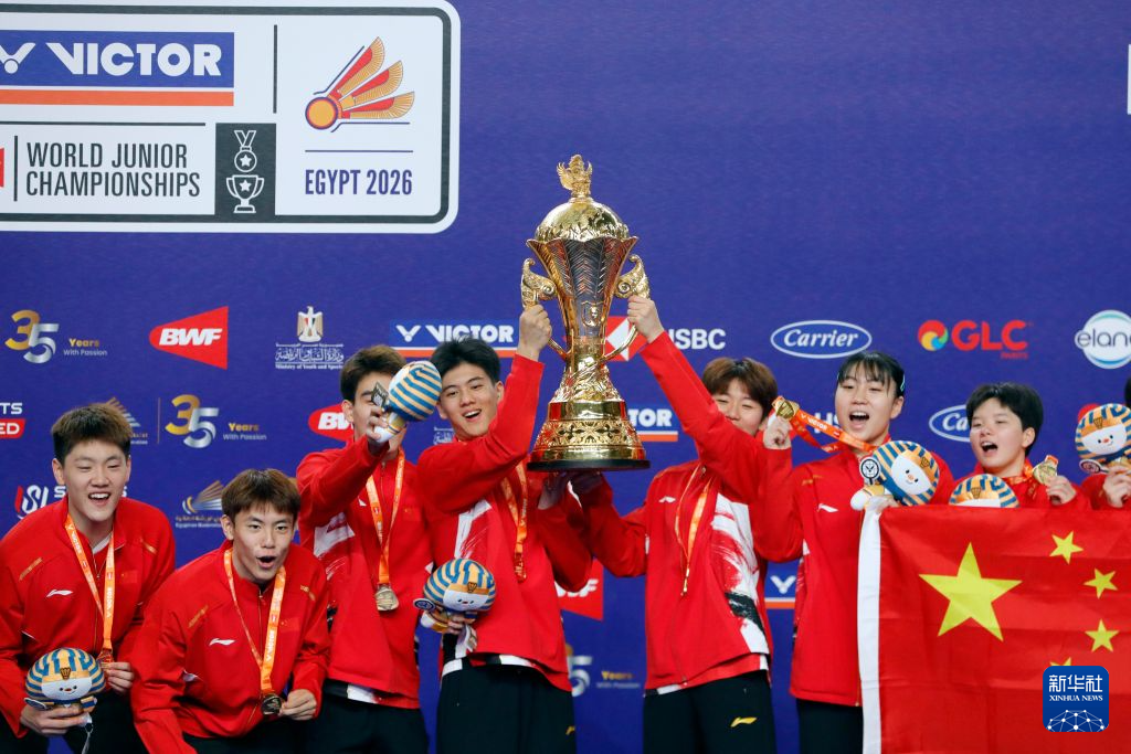 1xbet介绍图片