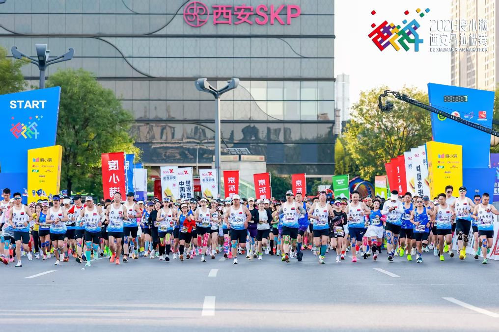 1xbet介绍图片