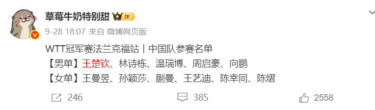 专业1xbet服务